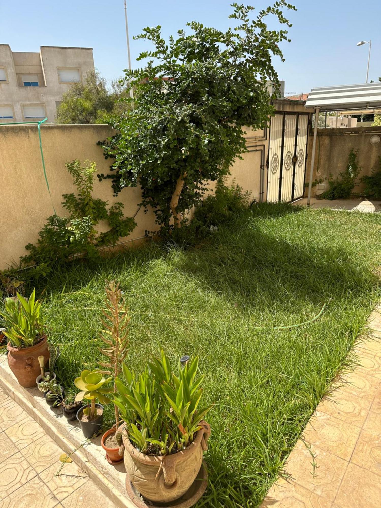 Garden House Jardin De Carthage Διαμέρισμα Sidi Daoud Εξωτερικό φωτογραφία
